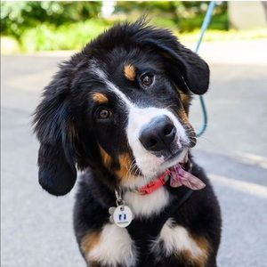 Meet your Posher, Beth